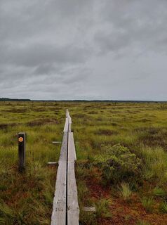 Fotografia z Willem kremer na trase