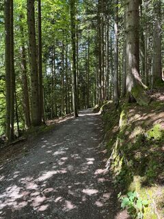 Foto fra Dominik Wymann underveis på turen