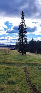 Fotografija s spletne strani Hakuna Matata na poti