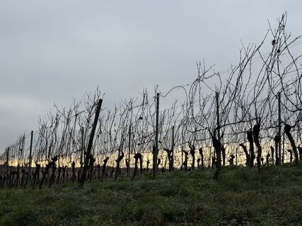 Zdjęcie z InesW wzdłuż trasy