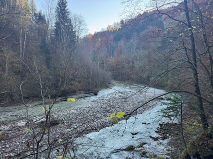 Foto van Firma Pool1 Hackl Roman langs de tour