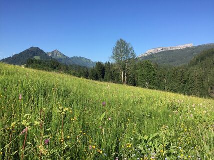 Blick auf den Ifen