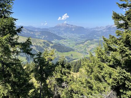 Foto från Marina I under resans gång
