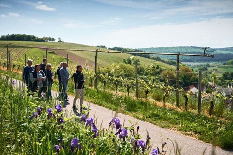 Taubertal_Beckstein Wein