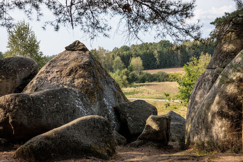 Naturpark Blockheide
