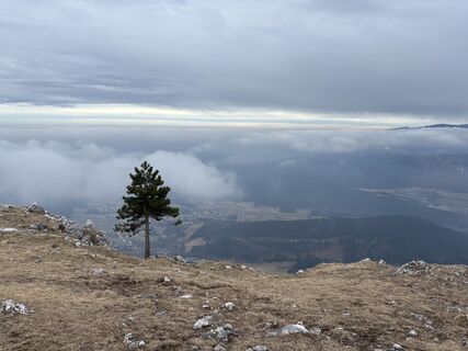 Zdjęcie z Georgiamartin0815 wzdłuż trasy