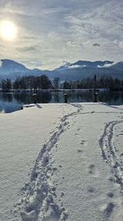 Foto von Mangolein entlang der Tour