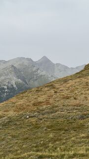 Fotografija s spletne strani Hannes Gelter na poti