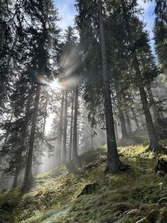 Foto von Andreas entlang der Tour