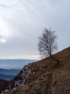 Foto von Aner entlang der Tour