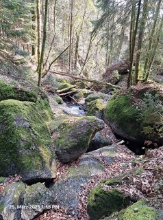 Foto fra Markus Bischof 3 undervejs på turen