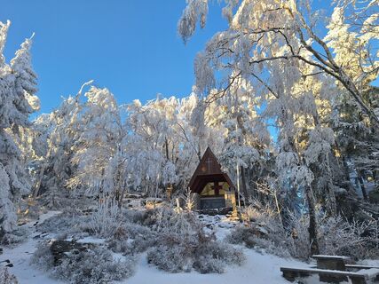 Photo de Bernadette Erla le long du parcours