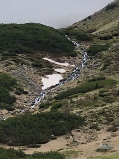 Foto von Schabsi entlang der Tour