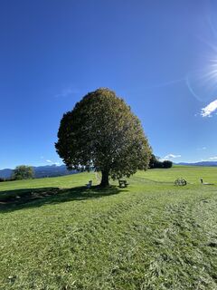 Foto von Sven Krieblin entlang der Tour