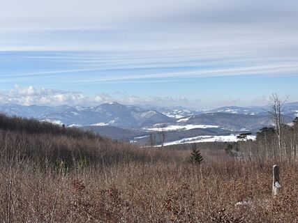 Fotografie z Klapsi na trase