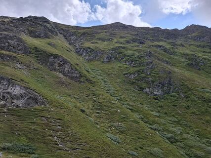 Foto von Birgit Arbeiter entlang der Tour