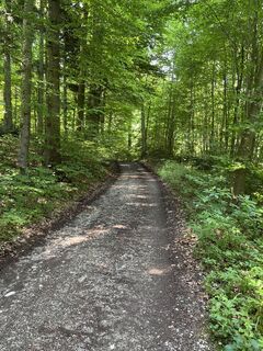 Fotografia z Heinz Sperl na trase