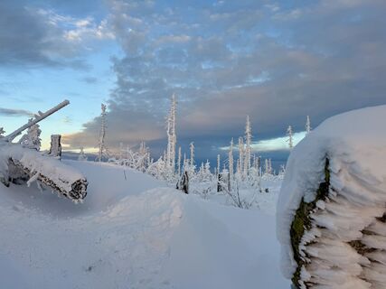 Foto von Natur_erleben_dg entlang der Tour