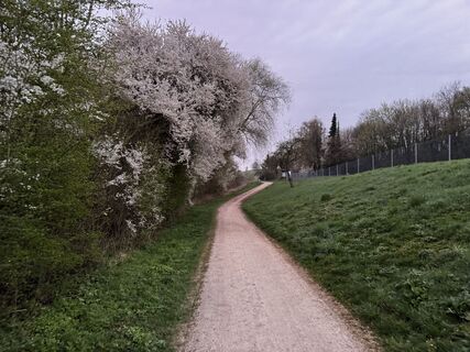 Fotografia z Schaali na trase