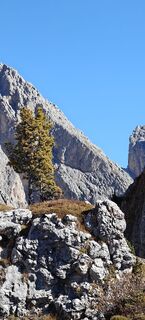 Foto fra Klaus Scharfe undervejs på turen