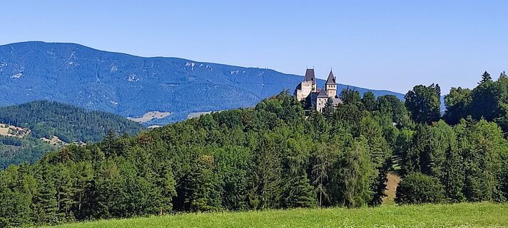 Photo de HH le long du parcours