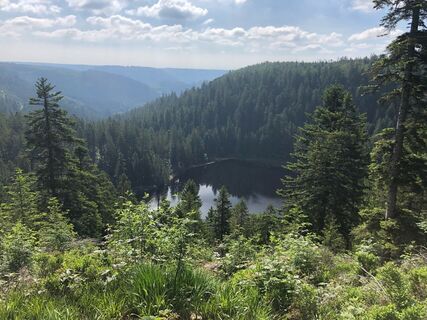 Glaswaldseeblick
