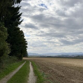 Foto de Goji Šarić a lo largo del recorrido