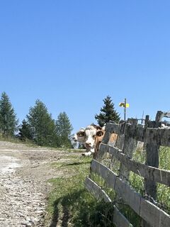 Foto de nap a lo largo del recorrido