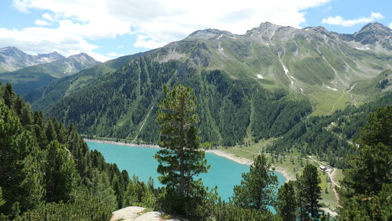 Foto da Arthur Muskalla lungo il tour