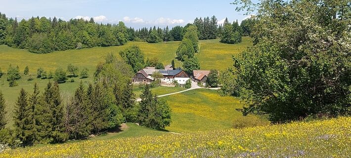 Foto von Klaus Gruber 3 entlang der Tour