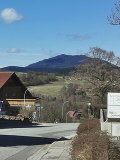 Foto von Waldläufer entlang der Tour