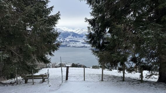 Foto de peter_oe a lo largo del recorrido