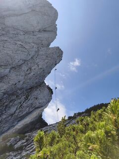 Photo de Conrad H le long du parcours