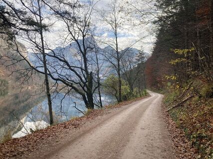 Leopoldsteinersee_bike view