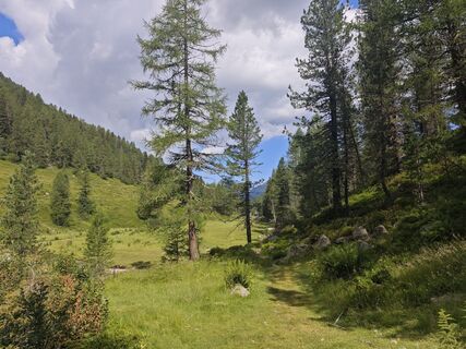 Fotografija s spletne strani marco conte na poti