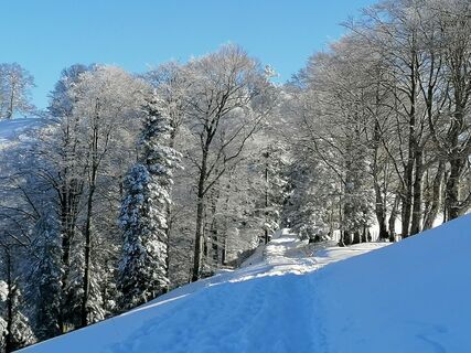 Fotografia z luyyy na trase