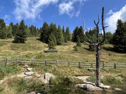 Foto fra Helmut Ertz underveis på turen