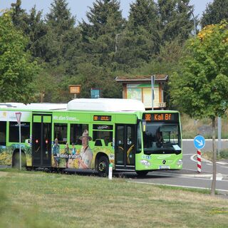 Nationalpark-Shuttle