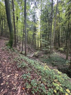 Foto da Günter Ritzer lungo il tour