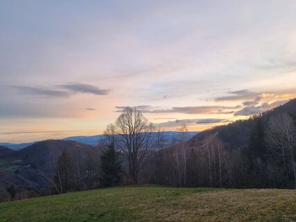 Foto de Grizli a lo largo del recorrido