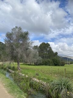 Foto de Elisa Schranner a lo largo del recorrido