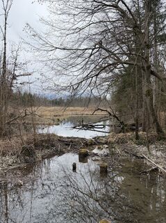 Foto de Moonlight13 a lo largo del recorrido