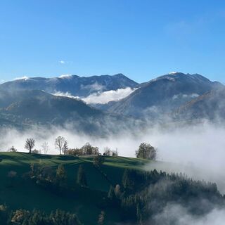 Freithofberg-Trail - Maria Neustift