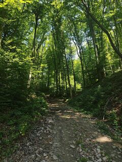 Photo de Katona Ferk Mariann le long du parcours