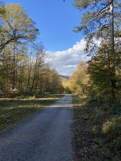 Фото с сайта Thomas Handlir во время экскурсии