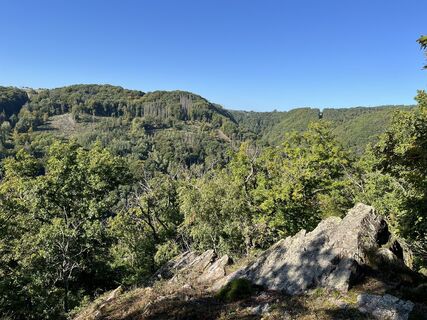 Fotografia z Patrick Ewert na trase