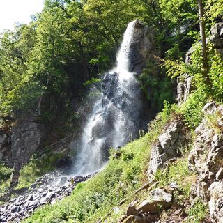 Trusetaler Wasserfall im Gegenlicht