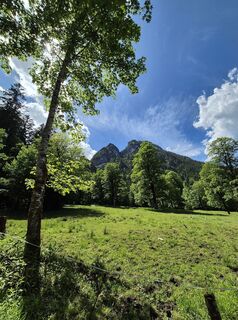 Foto da Padole lungo il tour