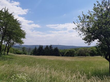 Fotografia z mmecki na trase
