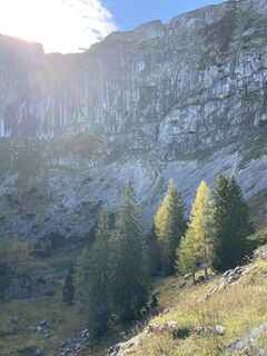 Photo de Roland Bogenhuber le long du parcours